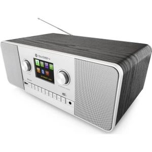 GoGen Internet DAB+ radio IR257BTDAB, Radio