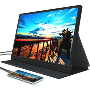 Denver PMO-15601 (1920 x 1080 Pixels, 15.60"), Monitor, Zwart