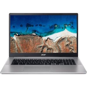 Acer Chromebook 317 - Notebook - Zilver - 17,3 inch - Intel Celeron N4500 - 8 GB RAM