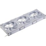 Phanteks - D30 PWM Ventilator - 140 mm - D-RGB - Wit - 3-Pack