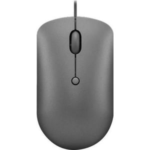 Lenovo - 540 - Computermuis - Storm Grey - USB-C - Ergonomisch Ontwerp