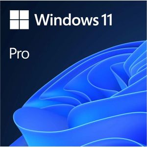 Microsoft Windows 11 Pro voor Windows