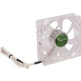 Titan - Green Vision - Ventilator - 80 x 80 x 25 mm - Z-Axis Lager - Stil