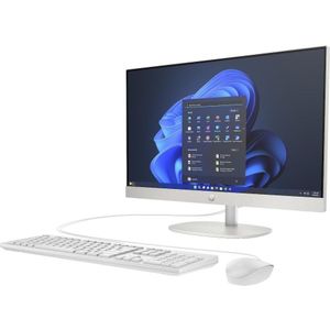 HP PROONE 245 G10 AIO R3-7330U (256 GB, 8 GB, AMD Ryzen 3 7330U), PC, Zwart