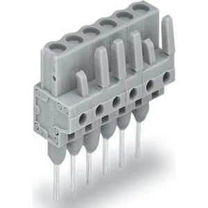 10x Wago Vrouwelijke connector voor aansluitblok, Elektronica benodigdheden + Behuizing, Grijs