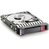 HPE 300GB 10K SAS 2.5 DP (0.30 TB, 2.5", SMR), Harde schijf