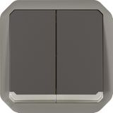 LEGRAND, Plexo New Inzet, 069806L Dubbele Wisselschakelaar voor vochtige ruimtes/dubbele wisselknop + knop & wisselcontact, verlicht, ombouwbaar 3-1 product, 10 A, 250 volt, kleur: antraciet