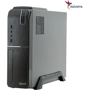 Iggual Desktop PC PSIPCHF1311 16 GB RAM 1 TB SSD Intel Core i7-13700 (1000 GB, 16 GB, Intel Core i7-13700), PC, Zwart