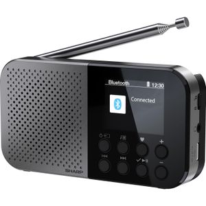 Sharp - DR-P520 - DAB+ en FM Radio - Storm Grijs - Bluetooth 5.3