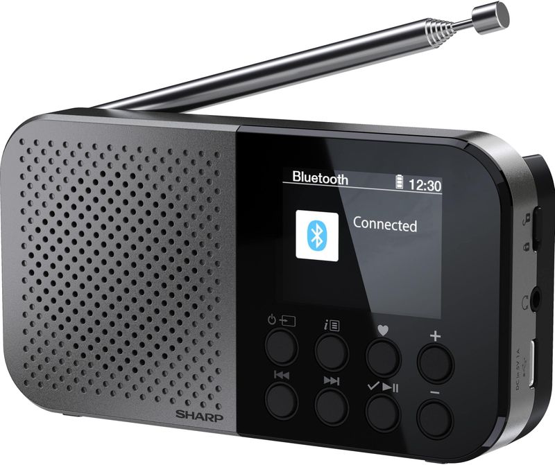 Sharp - DR-P520 - DAB+ en FM Radio - Storm Grijs - Bluetooth 5.3