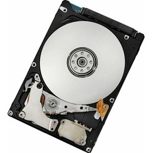 IBM 300Gb Hot Swap 15K SAS HDD (0.30 TB, 3.5"), Harde schijf