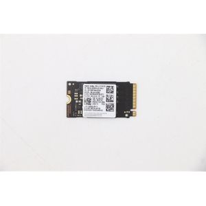 Lenovo SSD M.2 2242 256GB FRU SSD (256 GB, M.2 2242), SSD
