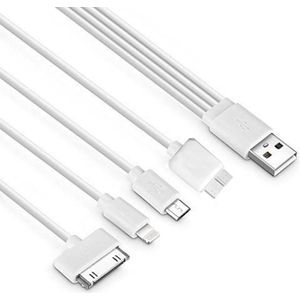 PowerGuard 5-in-1 Lightning MicroUSB 30-Pin Dock Samsung Tablet Charge 15cm, USB-kabel