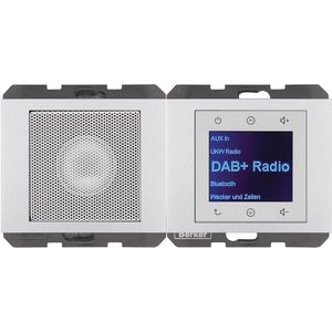 Berker BERK Radio Aanraking (DAB+, KW), Radio