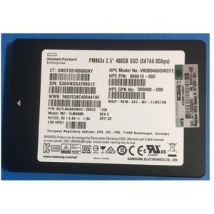 HPE SSD 480GB 6G SFF SATA RI PLP (480 GB), SSD