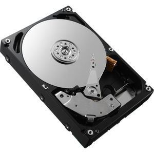 HPE 300GB 15K RPM 2,5" SAS (0.30 TB, 2.5"), Harde schijf