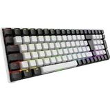 Sharkoon - SGK50 S2 - Toetsenbord - Zwart - PBT - Gateron Geel