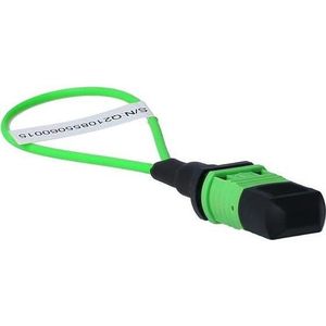 BlueLAN BlueOptics Loopback Adapter MPO/MTP Multimode OM5, Zendontvangers, Zwart, Roze