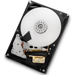 Hitachi HGST Ultrastar 7K3000 3TB 3,5 W126140670 (3 TB, 3.5"), Harde schijf