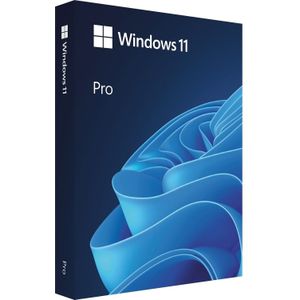 Microsoft Windows Pro 11 PL Box 64-bit USB HAV-00209 Vervangt P voor Windows