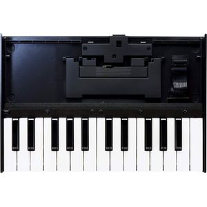 Roland K-25m, MIDI-controller, Wit, Zwart