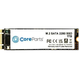 CoreParts M.2 SATA III 2280 (1000 GB, M.2 2280), SSD