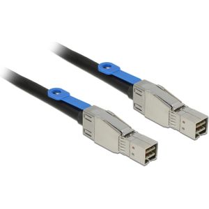 Delock SAS kabel: SFF8644-SFF8644, 2m, Interne kabel (PC)