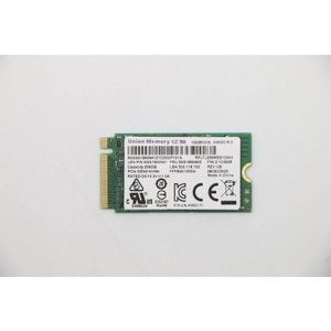 Lenovo UMIS AM620 256 GB PCIe 2242 (256 GB, M.2 2242), SSD