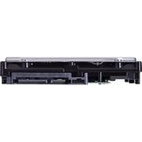 Seagate SkyHawk interne harde schijf 1 TB 256 MB 3.5" SATA III