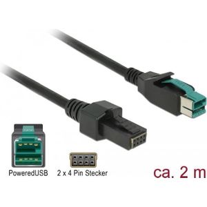 Delock Aangedreven USB kabel (2 m), Stroomkabel