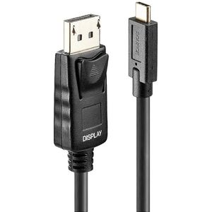 Lindy USB/DisplayPort kabel (5 m, DisplayPort, USB), Videokabel