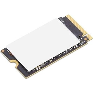 Lenovo Ssd asm (512 GB, M.2 2242), SSD