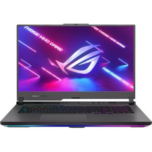ASUS ROG Strix G17 RTX 4060 (17.30", 1099.51 GB, 16.78 GB, DE, AMD Ryzen 9 7940HX), Notebook, Grijs