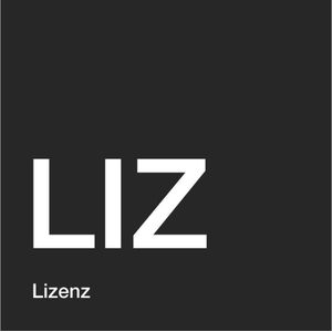 Microsoft MS Liz Visio Professional voor Windows