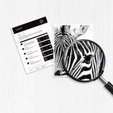 HP - 410X - Toner - C