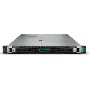 HPE ProLiant DL360 Gen11 P83118-425 (64 GB, Rack Server), Server