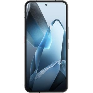 Oukitel WP200 Pro (1000 GB, Grijs, 6.70", Dubbele SIM, 4G), Smartphone, Grijs