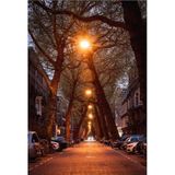 Samyang - MF 1.4/85 MK2 - Objectief - Zwart - Voor Fujifilm X