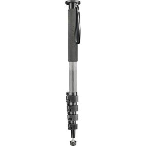 Walimex pro pro WAL1983 -Pro Monopod (Koolstof), Statief, Zilver, Zwart