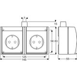 Busch-Jaeger - Schuko Dubbele Wandcontactdoos - Alpine Wit - Opbouw