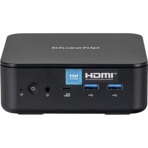 Bluechip BUSINESSline M13100 Intel Prozessor N100 / bis zu 3.40 GHz, Windows 11 Pro, 8 GB DDR4,... (120 GB, 8.19 GB, Intel N100), PC, Zwart