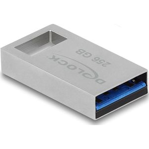 Delock USB 5 Gbps geheugenstick 256 GB - metalen behuizing (256 GB, USB 3.2), USB-stick, Grijs