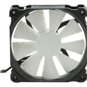 Phanteks Ph-F120xp Pwm (120 mm, 1 x), PC ventilator, Zwart, Wit