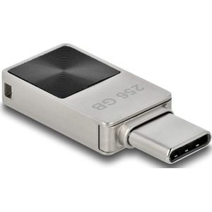 Delock Mini (256 GB, USB C), USB-stick, Grijs, Zwart