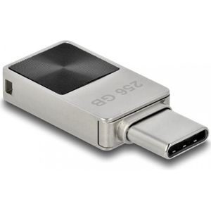 Delock Mini (256 GB, USB-C), USB-stick, Grijs