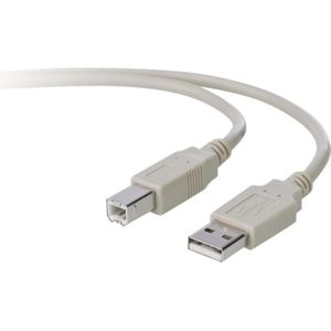 Belkin USB 2.0 datakabel (1.80 m, USB 2.0), USB-kabel