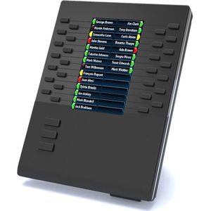 Mitel 80C00007AAA-A - Module - Zwart