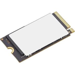 Lenovo 1tb SSD Pcie (1000 GB, M.2 2242), SSD
