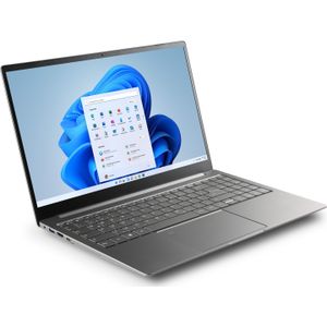 CSL Computer notebook R'Evolve C15 v3 39,6 cm (15,6 inch) Full HD Intel N-Rei (15.60", 1000 GB, 16 GB, DE), Notebook, Grijs