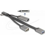 Delock - 2 Port USB Hub - Grijs - Inclusief SD en Micro SD Card Reader